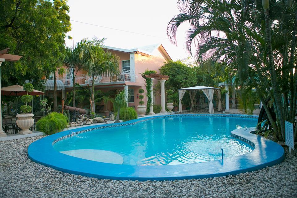 Palm Inn Hotel Port-au-Prince Rom bilde