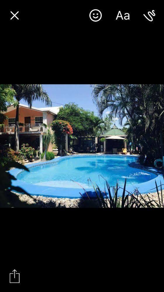Palm Inn Hotel Port-au-Prince Eksteriør bilde